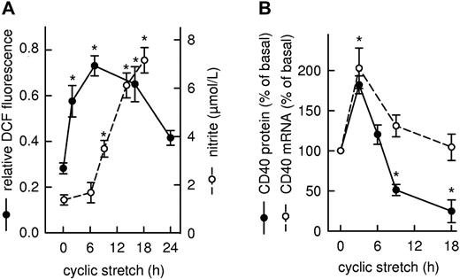 Figure 1. Time-dependent changes in intracellular ROS formation, extracellular nitrite concentration, and CD40 expression in human cultured endothelial cells exposed to cyclic stretch. (A) Time course of ROS formation shown as statistical summary of the relative changes in DCF fluorescence (●, n = 3-4, *P < .05 vs 0 hours). NOS-3 enzyme activity was estimated on the basis of the nitrite content of the conditioned medium (○, n = 4-8, *P < .05 vs 0 hours). (B) Time course of CD40 mRNA (○, n = 4-8, *P < .05 vs 0 hours) and CD40 protein abundance (●, n = 4-12; *P < .05 vs 0 hours) in the cultured cells, as judged by PCR and Western blot analysis, respectively. Changes in CD40 expression are calculated as percentage of the mRNA or protein level in nonstretched cells (basal).