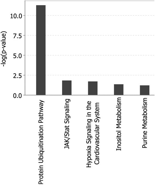 Figure 4. Analysis of the 80 genes of the GEP80 model shows the protein ubiquitination pathway to be primarily affected.