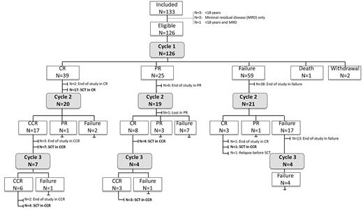 Figure 1. Flow chart with the course of treatment and response in all included patients.