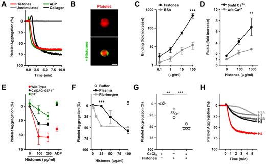 Figure 1. Histone-induced platelet aggregation requires β3-integrins. (A) Histones induce platelet aggregation. PRP was mixed at t = 0 minutes with histones (200 μg/mL), ADP (50μM), or collagen (25 μg/mL) or left unstimulated. Histones induced aggregation as efficiently as ADP or collagen. (B) Histones bind to platelets. Fluorescence microscopy of platelets labeled in red incubated with BSA or histones labeled fluorescently in green. Histones localize to the platelet surface. Scale bar = 2 μm. (C) Quantification of histone or BSA binding to washed platelets by flow cytometry (***compared with BSA; n = 3). (D) Histones induce calcium influx into platelets. Platelets loaded with the calcium-sensitive dye Fluo-4 and stimulated with indicated concentrations of histones for 5 minutes. Platelets were resuspended in medium with or without CaCl2, and fluorescence was analyzed by flow cytometry (**compared with or without Ca2+; n = 6). (E) Comparison of histone-induced aggregation of control mice (C57, red), CalDAG-GEF1 (black), or β3-integrin (green) deficient platelets, 5 minutes after stimulation with indicated concentrations of histones or ADP (50μM). CalDAG-GEF1 deficiency leads to an impaired platelet aggregation in response to histones, but it is less severe than β3-integrin deficiency. (F) Histone-induced platelet aggregation requires plasma proteins. Dose-dependent response of platelets to histones in the presence of plasma (black circles), 200 μg/mL fibrinogen (gray circles), or the response of washed platelets with buffer (white circle); n = 3; ***plasma compared with fibrinogen. (G) Exogenous CaCl2 (2mM) enhanced HiPA. Data show extent of platelet aggregation 3 minutes after stimulation (n = 4). (H) Aggregation of washed platelets stimulated with 1μM recombinant histone H1, H2A, H2B, H3, or H4 in the presence of 200μg/mL fibrinogen. Histone H4 induced platelet aggregation potently. Data presented are representative of ≥ 3 independent experiments. *P < .05, **P < .01, and ***P < .001.