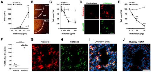 Figure 3. Histones induce thrombocytopenia. Histones bind to platelets in blood. (A) Fluorescent histones were mixed at the indicated concentrations with blood. Flow cytometric analysis showed that histones bind preferentially to platelets over RBCs in blood (**compared with RBCs; n = 5). (B) Perfusion of Rhodamine 6G–labeled platelets in blood over a histone-coated surface shows platelet binding to histones. Areas covered with BSA only did not bind platelets. Scale bar = 100 μm. (C) Histones induce thrombocytopenia in blood in vitro. Single platelet and RBC counts of blood mixed with indicated concentrations of histones. At concentrations of 250 μg/mL histones induced thrombocytopenia in vitro (***compared with RBCs; n = 3). (D) Microscopic analysis of Rhodamine 6G–labeled platelets in blood before (Unstimulated) and after stimulation with Alexa 488–labeled histones (+Histones). Histones induce and localize to platelet aggregates in blood. Scale bar = 50 μm. Histones induce thrombocytopenia in vivo. (E) Platelet and RBC counts of mice 10 minutes after infusion with indicated sublethal concentrations of histones (***compared with RBCs; n = 3). Histone infusion caused dose-dependent depletion of platelets from circulation. (F) Determination of tail bleeding time. Mice infused with histones (50 mg/kg) but not vehicle showed prolonged bleeding time. Histones associate with platelets in vivo. Immunostaining of lungs dissected 10 minutes after infusion with histones (G-I; 50 mg/kg) or vehicle (J). Lungs were stained for CD41 (platelets), histone H3 (histones), and DNA. Platelets (G) and histones (H) colocalized in mice infused with histones (I) but not in mice infused with vehicle (J). Under these conditions, histone staining of nuclei was below the detection limit. Scale bar = 50 μm. Data presented are representative of ≥ 3 independent experiments. **P < .01, ***P < .001.