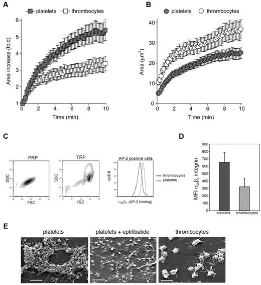 Figure 3. Avian thrombocytes spread less efficiently than platelets and express low levels of α2bβ3 integrins. Platelet and thrombocyte spreading on collagen was measured over 10 minutes with RICM. (A) The fold increase in surface area covered by adherent platelets and thrombocytes is shown. (B) The absolute area covered by adherent platelets and thrombocytes is shown. Mean ± SEM is shown; n = 25 for each group. (C) Levels of α2bβ3 integrin expression on washed human platelets and washed chicken thrombocytes were determined by staining with FITC-conjugated AP-2 mAb staining and analyzed by flow cytometry. The forward and side scatter of values of cells in platelet-rich plasma (PRP) and thrombocyte-rich plasma (TRP) are shown, and gates denote platelets and thrombocytes, respectively. Staining of human platelets and chicken thrombocytes for the α2bβ3 integrin with the use of AP-2 mAb binding is shown. (D) The histogram depicts the mean fluorescence intensity (MFI) of AP-2 binding for platelets and thrombocytes. Error bars indicate SD; n = 3 in each group. (E) Scanning electron microscopy images are shown after perfusion of human and chicken blood over collagen at a shear rate of approximately 1300 seconds−1. The α2bβ3 integrin antagonist eptifibatide was added at 10μM. Scale bars indicate 10 μm. Shown are representative images from 3 and 5 human and chicken flow experiments, respectively.