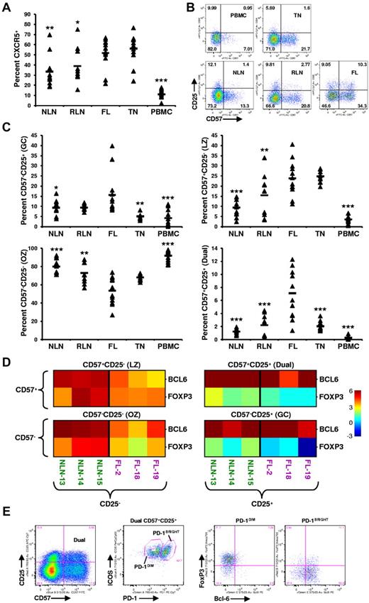 Figure 3. Skewed proportions of CD4+ CXCR5+ memory T-cell subsets in FL. (A) Proportions of CXCR5+ memory (CD45RA−) CD4+ T cells in the indicated tissues are expressed as the percentage of the total CD45RA− memory T-cell population. (B) Shown are representative plots of healthy donor PBMCs, reactive TN, NLN, RLN, and FL defining CD4+CD45RA−CXCR5+ subsets defined by CD57 and CD25 expression. (C) Proportions of GC (CD57−CD25+), LZ (CD57+CD25−), OZ (CD57−CD25−), and the dual (dual, CD57+CD25+) CD4+CXCR5+ memory T-cell in the indicated tissues expressed as the percentage of the total CXCR5+CD45RA− memory T-cell population. Triangles represent values for individual samples, and rectangles represent averages for each tissue type. *P < .05, **P < .01, and ***P < .001 compared with FL. (D) Quantitative RT-PCR analysis of sorted CXCR5+ TFH subsets defined in panel B, from FL or NLN (BCL-6 or FOXP3 expression normalized to GAPDH). Color indicates the number of cycles more (red) or less (blue) than the GAPDH control. (E) Further characterizing the FL CD57+CD25+ dual population (first plot) into PD-1 and ICOS populations (second plot) defining a ICOS+PD-1DIM and a ICOS+PD-1BRIGHT population that are predominately FoxP3+ (third plot) and Bcl-6+ (forth plot), respectively. Shown is a representative analysis of one FL specimen, with similar results obtained when analyzing an additional 3 FL patient specimens (total n = 4).