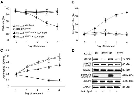 Figure 3. Effects of SHP-2 knock-down in KCL22-R. Effects of 5μM IMA treatment in KCL22-RSHP2− and KCL22-RSh−Control on cell viability assessed by trypan blue exclusion (A), on apoptosis induction assessed by Annexin V/PI test (B), and on cell proliferation assessed by MTS assay (C). Results are expressed as mean ± SD of 3 independent experiments. (D) Signaling pathway analysis in KCL22-RSh−Control (referred as KCL22-RC in the figure) and KCL22-RSHP2− cell lines after exposure to 1μM IMA for 30 minutes. Cell extracts are subjected to WB analysis with the use of the specified antibodies.