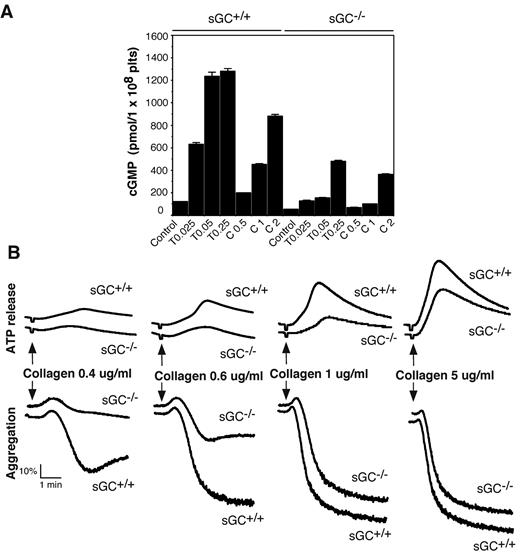 Figure 2. Agonist-induced cGMP production is diminished and collagen-induced platelet secretion and aggregation are attenuated in sGC β1 deficient platelets. (A) Washed platelets from wild-type (sGC+/+) or sGC β1 deficient mice (sGC−/−) resuspended in Tyrode's solution were stimulated with selected concentrations of either thrombin or collagen at 37°C for 5 minutes and solubilized by adding ice-cold 12% (wt/vol) trichloroacetic acid. cGMP concentrations were determined using a cGMP enzyme immunoassay kit. Results are expressed as mean ± SD (n = 3). Means and SD of triplicates are shown from 1 representative experiment of 3. (B) Washed platelets from wild-type (sGC+/+) or sGC β1 deficient mice (sGC–/–) were stimulated with various concentrations of collagen in a lumi-aggregometer at 37°C. Real-time ATP secretion and platelet aggregation were recorded simultaneously. Data shown are representative of 4 independent experiments.