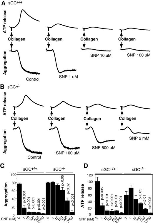 Figure 6. SNP inhibits collagen-induced platelet aggregation and secretion in wild-type and sGC deficient platelets. (A-B) Washed platelets from wild-type (sGC+/+; A) or sGC β1 deficient mice (sGC–/–; B) were incubated with selected concentrations of SNP for 10 minutes, and collagen (1 μg/mL) was added to induce aggregation and secretion. (C-D) Statistical data of aggregation (C) and secretion (D) shown are from 4 independent experiments. Values were normalized with respect to wild type platelets stimulated with collagen in the absence of SNP. Statistical significance between platelets in the absence of SNP and platelets preincubated with a certain concentration of SNP was determined using a Student t test.