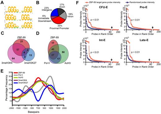 Figure 3. Association of ZBP-89 chromatin occupancy with activating gene features. (A) DNA sequence motif preference at ZBP-89 bound sites across the entire ENCODE array using cis-regulatory element annotation system algorithm.20 (B) Pie chart showing the relative location of ZBP-89 occupancy peaks relative to annotated gene structures. (C) Venn diagram showing overlap of genes containing ZBP-89 occupancy peaks and those with enrichment for 3meH3K4 and/or 3meH3K27 between −2 kb upstream to 2 kb downstream of the TSS. (D) Venn diagram showing overlap of ZBP-89 occupied genes, RNA Pol II-occupied genes, and genes enriched for AcH3. (E) Plot showing percentage frequency of ZBP-89, RNA Pol II, AcH3, 3meH3K4, and 3meH3K27 enrichment peaks relative to distance from the TSS. (F) Plots of normalized cDNA gene expression microarray probe intensity signals29 (NCBI GEO accession no. GSE22552) corresponding to the 84 ZBP-89 bound genes (represented by 219 probes; red) compared with the mean of 10 sets of randomly selected 219 probe sets (blue). Data for each of the represented equivalent erythroid maturational stages (CFU-E), proerythroblast (Pro-E), intermediate erythroblast (Int-E), and late erythroblast (Late-E) are shown. All probe sets to the left of the vertical arrows have intensities ≥ 1.5-fold greater than the random control probe sets of equivalent rank order.