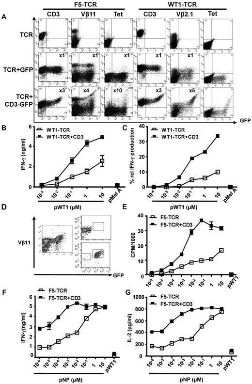 Figure 2. CD3 is rate limiting for expression and function of the F5-TCR and the WT1-TCR in primary T cells. (A) C57BL/6 splenocytes were Vβ11 depleted before activation and transduced with the F5-TCR, F5-TCR+control-GFP, or F5-TCR+CD3-GFP. Cells were stained with antibodies against Vβ11 or H2Db/pNP tetramer. Alternatively, total splenic T cells were transduced with the WT1-TCR, WT1-TCR+control-GFP, or WT1-TCR+CD3-GFP and stained with antibodies against CD3, Vβ2.1, or with HLA-A2/pWT126 tetramer. The numbers in the panels indicate the fold increase in the level of CD3 or TCR expression (measured by MFI) in cells expressing TCR+CD3-GFP or TCR+control-GFP (Q2) compared with the cells expressing TCR only (Q1). The data are representative of 5 performed experiments. (B) Bulk transduced T cells (1 × 106) were stimulated with 5 × 105 T2 cells loaded with increasing concentrations of pWT126 or 10μM pMelanA control peptide. Supernatant was harvested and assessed for IFNγ production by ELISA. The graph demonstrates the mean IFNγ concentration ± SD of triplicate values. The data are from one of 3 performed experiments. (C) Intracellular cytokine production was assessed in CD8+ T cells expressing WT1-TCR+CD3-GFP or WT1-TCR-only. Transduced T cells were stimulated with increasing concentrations of pWT126 or 10μM pMelanA control peptide. The intracellular IFNγ staining was assessed in CD8+ T cells expressing TCR+CD3 or TCR-only (Vβ2.1+GFP+ cells and Vβ2.1+GFP− cells, respectively). The graph shows the percentage of Vβ2.1+GFP+ and Vβ2.1+GFP− T cells producing IFNγ. (D) CD8+ T cells from C57BL/6 mice were transduced with F5-TCR+CD3-GFP and FACS purified to obtain cells expressing TCR-only or TCR+CD3 (purity of 86%-96%, respectively). (E) F5-TCR or F5-TCR+CD3 T cells (1 × 105) were stimulated with 1 × 105 irradiated splenocytes coated with increasing concentrations of pNP or 10μM pWT126 control peptide, and peptide-specific proliferation was measured by thymidine incorporation. (F-G) 1 × 105 F5-TCR or TCR+CD3 T cells were stimulated with 1 × 105 irradiated splenocytes coated with increasing concentrations of pNP or 10μM pWT126 control peptide. Supernatant was harvested and assessed for (F) IFNγ and (G) IL-2 production by ELISA. The graph demonstrates the mean cytokine concentration ± SD of triplicate values. The data are from 2 performed experiments.