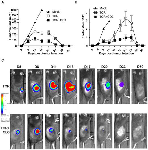 Figure 3. TCR+CD3 co-transduction of T cells reduces tumor burden. (A) CD8+ T cells from Thy1.1+ C57BL/6 mice were transduced with F5-TCR, F5-TCR+CD3-GFP, or left un-transduced (Mock). Thy1.2+ C57BL/6 mice were sublethally irradiated (5.5Gy) and injected subcutaneously with 1 × 106 EL4.NP tumor cells on day 0 followed by intravenous transfer of a total of 3 × 105 transduced Thy1.1+ CD8+ T cells. Tumor volume was measured at the indicated time points. Data are from 3 experiments each with 3 mice/group. (B-C) CD8+ T cells from Thy1.1+ C57BL/6 mice were transduced with F5-TCR, F5-TCR+CD3-GFP, or left untransduced (Mock). Thy1.2+ C57BL/6 mice were sublethally irradiated (5.5Gy) and injected subcutaneously with 1 × 106 firefly luciferase-expressing EL4.NP tumor cells on day 0 followed by intravenous transfer of a total of 3 × 105 transduced CD8+ T cells the next day. Tumor growth was monitored by IVIS-100 bioluminescence camera. (B) Graph shows the mean bioluminescent signals in photons recorded at the site of tumor growth. (C) The bioluminescent signals at the site of tumor growth is shown over a 50 day period in representative mice treated with T cells expressing TCR-only or TCR+CD3-GFP. Data in panels B and C are from 2 independent experiments each with 3 mice/group.