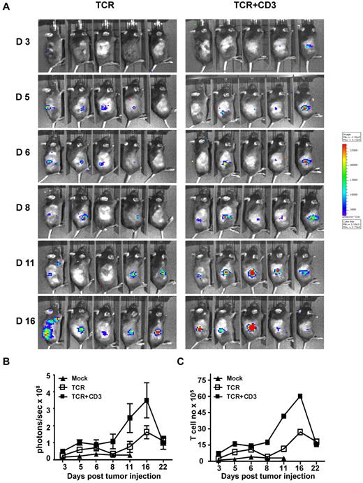 Figure 4. TCR+CD3 co-transduction of T cells enhances tumor infiltration of T cells. Thy1.1+ CD8+ T cells from firefly luciferase+ transgenic C57BL/6 mice were transduced with F5-TCR or F5-TCR+CD3-GFP. Thy1.2+ C57BL/6 mice were sublethally irradiated (5.5 Gy) and injected subcutaneously with 1 × 106 EL4.NP tumor cells on day 0 followed by intravenous transfer of a total of 3 × 105 transduced luciferase+Thy1.1+ T cells the next day. (A) T-cell accumulation at the site of tumor growth was monitored by IVIS-100 bioluminescence camera at the indicated time points. (B) The graph shows the mean bioluminescent signals in photons/s in the groups of mice at the indicated time. (C) The photons/s were converted into number of accumulated T cells based on the bioluminescent signals obtained when titrated numbers of luciferase+ transgenic T cells were injected subcutaneously. Data are representative of 5 mice/group.