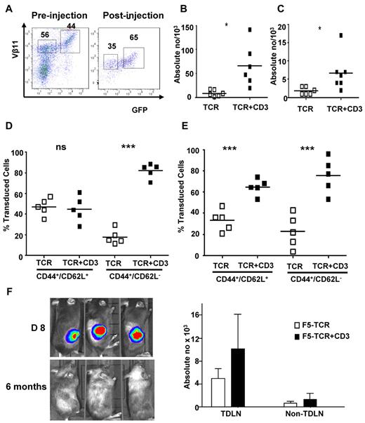 Figure 5. Preferential expansion of TCR+CD3 double transduced T cells in vivo. Thy1.1+ CD8+ T cells from C57BL/6 mice were transduced with F5-TCR or F5-TCR+CD3-GFP. Thy1.2+ recipient C57BL/6 mice were sublethally irradiated (5.5 Gy) and injected subcutaneously with 1 × 106 EL4.NP tumor cells on day 0. The next day, mice were intravenously injected with 3 × 105 transduced Thy1.1+ T cells containing similar numbers of F5-TCR and F5-TCR+CD3-GFP T cells. (A) FACS analysis of transduced T cells before injection and recovered from mice 35 days after injection. Dot plots are gated on Thy1.1+ CD8+ T cells and the numbers indicate the percentage ofVβ11+ T cells expressing TCR-only or TCR+CD3-GFP. (B-C) Absolute numbers of transduced cells recovered from the spleen (B) and tumor draining lymph nodes (TDLN; C) are shown. Cells from spleen (D) and TDLN (E) were stained with antibodies for CD44 and CD62L to identify central and effector memory phenotype T cells. Graphs show the relative frequency of TCR-only and TCR+CD3-GFP T cells in the central and effector memory compartment. Data are representative of 5 mice/group. (F) Thy1.2+ irradiated C57BL/6 mice were injected subcutaneously with 1 × 106 firefly luciferase-expressing EL4.NP tumor cells on day 0, followed by treatment with 3 × 105 transduced Thy1.1+ T cells containing similar numbers of F5-TCR and F5-TCR+CD3-GFP cells. Mice were imaged before (day 8) and after tumor rejection (6 months). Tumor-free mice were rechallenged with 1 × 106 irradiated EL4.NP tumor cells injected in the lower leg. After 5 days, mice were killed and T cells were collected from TDLN and contra-lateral control LNs (nonTDLN). FACS analysis was performed to determine the number of transferred Thy1.1+ T cells expressing TCR-only or TCR+CD3-GFP. *P < .05, **P < .01, ***P < .001.
