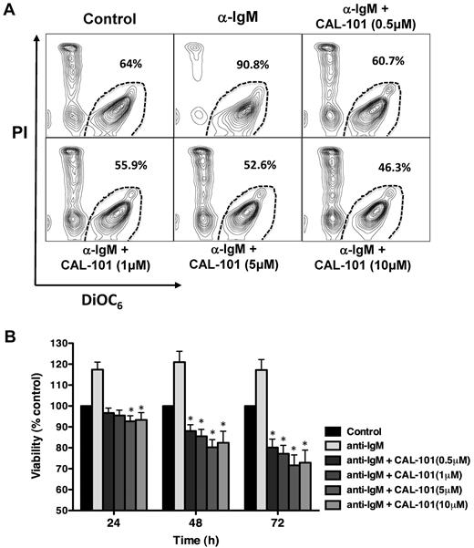 Figure 2. Specific PI3Kδ inhibition with CAL-101 induces CLL apoptosis and abrogates BCR-derived survival signals. (A) CLL cells were incubated in medium alone (control), medium containing 10 μg/mL of anti-IgM mAbs, or medium with anti-IgM mAbs and various concentrations of CAL-101. Displayed are representative contour plots that depict CLL cell viability after 48 hours and after post staining with DiCO6 and PI (horizontal and vertical axes, respectively). The viable cell population is characterized by bright DiCO6 staining and PI exclusion, and is gated in the bottom right corner of each contour plot. The percentage of viable cells is displayed above each of these gates. (B) The bar diagram represents the mean relative viabilities of CLL cells cultured in complete medium (control), or medium supplemented with 10 μg/mL of anti-IgM, or anti-IgM and various concentrations of CAL-101. Viabilities in CAL-101–treated samples were normalized to the viabilities of control samples at the respective timepoints (100%) to account for differences in spontaneous apoptosis in samples from different patients. Displayed are the means (± SEM) from 15 different patient samples, assessed after 24, 48, and 72 hours. CLL cell survival in the presence of anti-IgM mAbs was significantly inhibited by CAL-101, with P < .05, as indicated by the asterisks describing the comparison of results from each culture containing CAL-101 to the results from the culture containing anti-IgM alone.