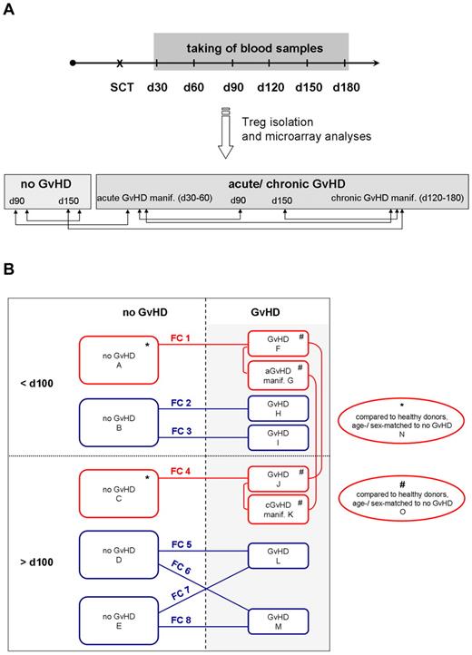 Figure 1. Design of Treg transcriptome studies. (A) Primary Treg transcriptome study. Blood samples were taken at regular intervals at 30, 60, 90, 120, 150, and 180 days after SCT, and CD4+CD25hiCD127lo/− Tregs were isolated by FACS. Samples were assigned to the no GVHD or aGVHD/cGVHD group according to clinical and histologic diagnoses and analyzed by microarray technology. Comparative analysis of Treg transcriptomes was performed as indicated by the arrows. (B) Primary and confirmatory Treg transcriptome studies. Microarrays of the primary Treg transcriptome study are red framed, analyzing patients in the no GVHD group at day 90 (array A) and day 150 (array C), in the GVHD group at day 90 (array F), with aGVHD manifestation (array G), at day 150 (array J), and with cGVHD manifestation (array K). Red lines demonstrate comparisons of the primary Treg transcriptome study, which also included a comparative analysis with healthy, age- and sex-matched donors (Table 2). Confirmatory microarray experiments are blue-framed, analyzing patients in the no GVHD group before 100 days (array B) and after 100 days (arrays D and E), in the GVHD group before 100 days (arrays H and I) and after 100 days (arrays L and M). In each array, CD4+CD25hiCD127lo/− Tregs with a purity more than 95% of n = 3 independent patients with exception of array D (n = 2) were analyzed. FC1-FC8 indicates the comparison of 2 arrays and resulting fold change values are summarized in Table 3.