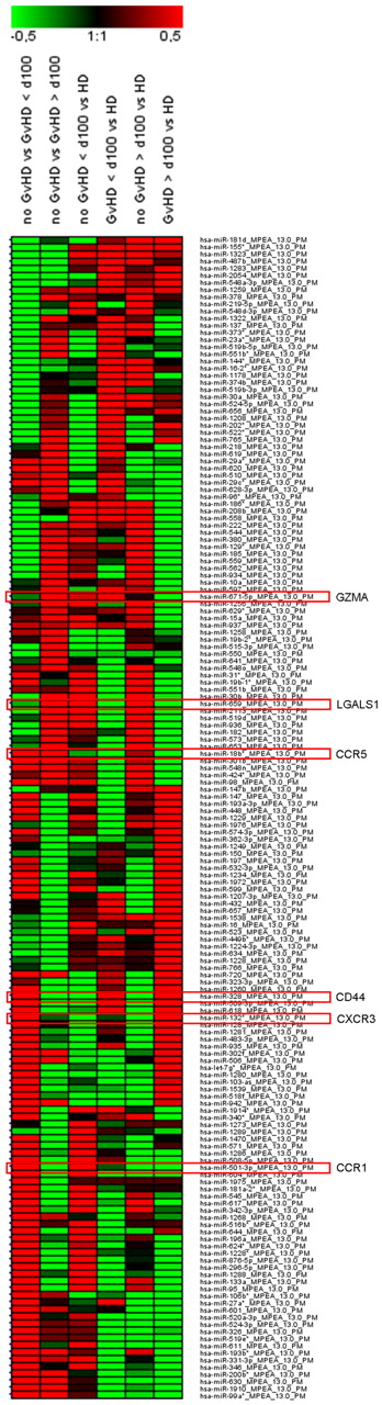 Figure 5. Regulated miRNAs in Tregs of SCT patients. Patients without GVHD and with GVHD manifestation before day 100 and after day 100 after SCT are summarized as “no GVHD” or “GVHD” > 100 days and > 100 days, respectively. CD4+CD25hiCD127lo/− Tregs were sorted from PBMCs of blood withdrawals with a purity > 95%. Isolated total RNA from n = 3 patients without GVHD and n = 3 patients with GVHD < 100 days and > 100 days were pooled, respectively. In addition, total RNAs were pooled from n = 3 healthy donors (HD). Results are presented as a heat map generated using Genesis software (Institute for Genomics and Bioinformatics, Graz University of Technology, Austria) and show 163 differentially regulated miRNAs with a log median fold change > 0.4 or < −0.5 in GVHD vs no GVHD < 100 days and/or GVHD vs no GVHD > 100 days. Red frames highlight miRNAs with predicted targets of gene transcripts encoding GZMA, LGALS1, CCR5, CD44, CXCR3, and CCR1.