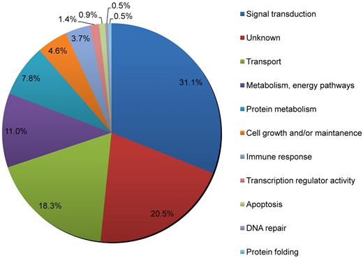 Figure 3. The biologic processes mediated by proteins of the platelet palmitoylome. Analysis of the platelet palmitoylome indicates that many of the identified platelet proteins are involved in signal transduction pathways and transport processes. Each protein was assigned a biologic process as defined by the HPRD, which is Gene Ontology compliant.