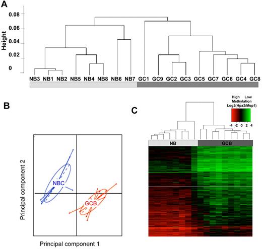 Figure 1. GC B-cells feature a predominantly hypomethylated DNA methylation signature. (A) Unsupervised hierarchical clustering using the Ward method was performed on all probesets and accurately segregated NB cells from GC B cells (GCB). (B) Principal component analysis of methylation values for NBs and GCBs. The first and second principal components separate NBs from GCBs, underscoring the overall differences in methylation patterning. (C) A signature of differentially methylated genes in GC B-cells versus NB cells based on P < .01 (moderated t test with BH correction) and methylation difference of ∼ 40% was identified and included 235 genes. A heatmap representation allows visualization of the finding that the majority of differentially methylated genes are hypomethylated in GC B cells