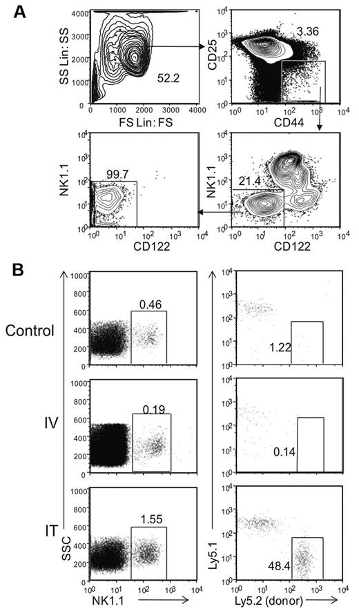 Figure 1. Donor derived DN1 CD122−NK1.1− thymocytes differentiate into NK cells in the thymus. (A) Thymic DN1 CD122−NK1.1− cells from Rag1−/− mice were sorted and collected for post sort analysis with the gating parameters shown. (B) Thymi from Rag1−/− Ly5.2 mice were harvested and sorted based on DN1CD122−NK1.1− phenotype as shown in panel A. Cells were transferred into irradiated Rag1−/− Ly5.1 mice either intravenously or intrathymically. Irradiated littermates were used as controls. Cells were harvested from the thymus 32 days after transfer. NK1.1+ cells from the lymphocyte population were then examined for host (Ly5.1+) and donor (Ly5.2+) cells. Data are representative of 2 experiments.