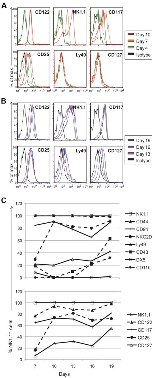 Figure 4. Phenotypic profile of cells generated in vitro from thymic progenitors. Cells cultured in vitro were pooled on different days and assessed for marker expression via flow cytometry. Black histograms represent cells stained with appropriate isotype controls and colored-line histograms correspond to different days of analysis. Early (A) and late (B) marker acquisition is shown. Expression on gated NK1.1+ cells is shown, except for all markers on day 4 and NK1.1 expression on different days, which were gated on the lymphocyte population. (C) Developmental kinetics of sorted thymocytes as a function of days versus the percentage of NK1.1+ cells expressing the given marker. Again, as described for Figure 2, the staining patterns for each marker were somewhat different but we used the percent of positive cells as a convenient means to compare and describe the staining profiles for numerous antibodies used. Data are representative of 3-5 experiments.