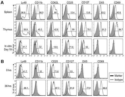 Figure 5. In vitro developed NK cells resemble those found in the thymus and not conventional splenic NK cells. Cells from indicated tissues of Rag1−/− mice, along with in vitro differentiated NK cells were analyzed by cytometry. Gray-filled histograms represent cells stained with an isotype control and black line histograms represent cells stained with the indicated antibody. (A) In vitro generated NK cells were compared with freshly isolated splenic and thymic NK cells. Gated NK1.1+ cells are shown. (B) The phenotype of in vitro generated NK cells in culture for 19 days (top panel) was compared with that of cells that were removed from culture after 19 days and rested in LD IL15 for 36 hours (bottom panel). Gated NK1.1+ cells are shown. As described for Figure 2 and here, the staining patterns for each marker were somewhat different but we used the percentage of positive cells as a convenient means to compare and describe the staining profiles for numerous antibodies used. Data are representative of 2-5 experiments.