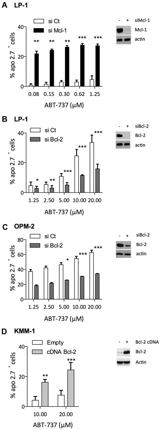 Figure 4. Involvement of Bcl-2 and Mcl-1 levels in ABT-737 induced apoptosis. (A-C) Seventy-two hours after, Bcl-2 or Mcl-1 siRNA transfection in myeloma cells as indicated, protein levels were examined by immunoblotting, and cells were treated with ABT-737 for 24 hours. Apoptosis was quantified by Apo 2.7 staining. Results represent the mean of 4 independent experiments. (D) KMM1 were transfected with pRc-CMV Bcl-2 or empty vector for 48 hours before to be cultured with ABT-737 for 24 hours. Results represent the mean of 5 independent experiments. Statistical analysis were performed by paired Student t test: *P < .05; **P < .005; and ***P < .0005.
