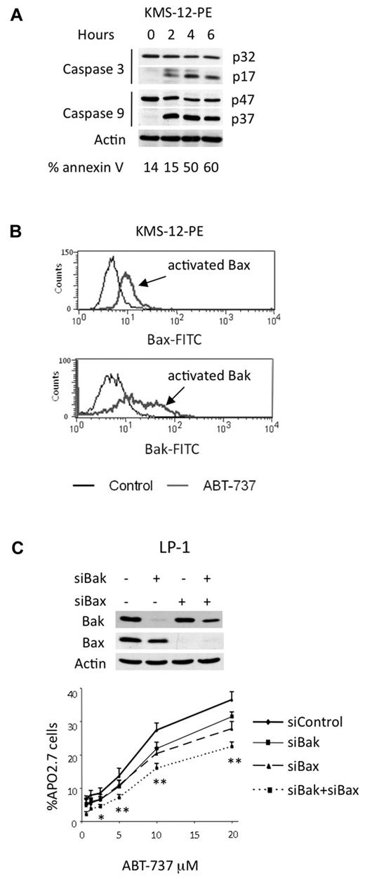 Figure 5. ABT-737–induced apoptosis through the mitochondrial pathway. (A) KMS-12-PE cells were treated with 40nM ABT-737 for the indicated times. Cell death was analyzed by annexin-V staining. Cleavage of caspases-3 and -9 correlated with cell death. (B) Bax and Bak activation was determined by staining with antibodies against active forms in KMS-12-PE cells either treated or not with ABT-737. One representative experiment of 3 is shown. (C) LP-1 cells were transfected with the indicated siRNA for 72 hours before being treated with ABT-737 for 24 hours. Equivalent amounts of cell lysates were separated by SDS-PAGE and then immunoblotted with the indicated antibodies. Cell death was assessed by Apo 2.7 staining. Results represent the mean of 3 independent experiments. Statistical analysis were performed by paired Student t test: *P < .05; **P < .005.