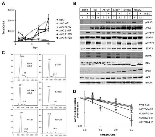 Figure 3. Mutant JAK3s confer cytokine independence in BaF3 cells. (A) BaF3 cells transduced with JAK3s were counted daily after IL-3 withdrawal. WT JAK3 transduced and untransduced BaF3s did not survive unless supplemented with IL-3. Those transduced with mutant JAK3s became cytokine independent by 7 days. (B) BaF3 cells expressing mutant JAK3s showed constitutive autophosphorylation and phosphorylation of STAT5 (Y694) and AKT (S473) without IL-3. All Western blot analyses were performed using whole-cell lysates except pSTAT3 and pJAK3 which were blotted from immunoprecipitates. (C) Flow cytometry histograms show Vybrant dyecycle violet staining of stable BaF3 lines. Proportion of cells in cell-cycle stages G1 or S/G2 are expressed as percentage of total cells above the peaks. Mutant JAK3-transduced BaF3 cells were maintained without IL-3. A572V, L156P, and E183G mutants showed comparable proportions of cells in S/G2 phase. R172Q is more closely comparable with WT JAK3 expressing BaF3 cells. Data shown are representative of 2 independent experiments. (D) Semi-log graph shows JAK3 protein in BaF3 cells expressing WT or mutant JAK3 after treatment with 100 μg/mL cycloheximide for 0, 0.5, 1, 2, and 3 hours. The respective half-lives were calculated from linear regression of 5 total experiments (R2 > 0.90). A572V, L156P, E183G, and R172Q are all significantly more stable than WT JAK3.