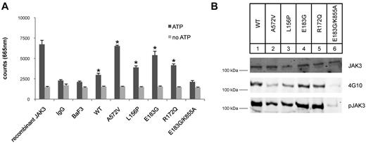 Figure 4. JAK3 FERM domain mutations show increased kinase activity in vitro. (A) Direct determination of the kinase activity for FERM domain mutations using the Lance Ultra TR-FRET–based assay. Background counts were seen in assays without ATP addition, for BaF3 cells, and with immunoprecipitations using isotype control IgG. Recombinant human JAK3 (50 pg) was used as a positive control. Specific immune complexes of WT and mutant JAK3s showed kinase activity with ATP. The counts are shown as the average of 9 independent kinase assays (mean ± SEM). Statistical comparison between mutant JAK3s and WT JAK3 showed significantly higher kinase activity in the mutants (*P < .001). WT JAK3 showed statistically significant increased activity compared with IgG control (P = .008). (B) Shows Western blots of JAK3 from a representative immunoprecipitation and the detection of autophosphorylated JAK3 after in vitro assay. 4G10 is specific for phosphotyrosine and the third blot shows a phospho-Y980 of JAK3. Notably, a kinase-dead compound mutant E183G/ K855A showed no autophosphorylation.