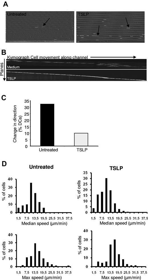 Figure 5. TSLP promotes DC migration in the confined environment of microchannels. (A) After 20 hours of culture in medium or TSLP, DCs were added in the starting chamber of the microchannel system. They were allowed to spontaneously enter the fibronectin-coated 4-μm-wide channels, and phase-contrast images were recorded. The number of cells entering the channels dramatically increased after TSLP activation of DCs (arrow indicates an individual cell inside a microchannel). (B) Representative kymograph of an untreated DC and a TSLP-DC generated by sequential pictures of a DC within a microchannel. We can see the untreated DC changing direction several times during the recording. Raw phase-contrast images were processed to analyze cell movement as described in “Kymograph extraction and instantaneous velocity.” (C) After 20 hours of culture, DCs were allowed to spontaneously enter the fibronectin-coated 4-μm-wide channels, and phase-contrast images were recorded. Changes of direction through the channels were quantified for individual cells. TSLP-DCs exhibited a more straight movement. Only 10% of TSLP-DCs show changes in direction inside the microchannels. (D) Kymographs obtained in panel C were processed and analyzed to extract instantaneous speed of individual cells. The distributions of median and maximal speed of DCs precultured in control medium (left panels) or with TSLP (right panels) are not significantly different (P > .05). Data are from one representative of 3 independent experiments.
