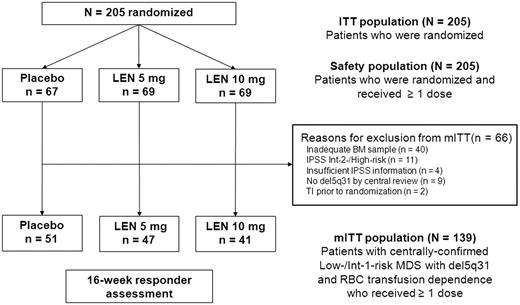 Figure 1. Study populations by randomized treatment group in the double-blind phase. BM indicates bone marrow; LEN, lenalidomide; and Int, Intermediate.