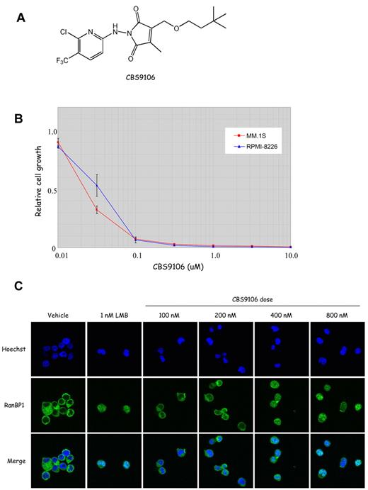 Figure 1. CBS9106 inhibits cancer cell growth and CRM1-dependent nuclear export. (A) Structure of CBS9106. (B) Suppression of the cell growth of MM cells by CBS9106. The growth of 2 different MM cells were cultured with indicated doses of CBS9106 for 72 hours and analyzed by the WST-8 method. Growth rate (n = 3) was represented as relative values to those of vehicle-treated control cells. Error bars represent SD. (C) Accumulation of RanBP1 in nucleus by CBS9106 treatment. MM.1S cells were treated with vehicle, LMB (1nM), and CBS9106 (100-800nM) for 2 hours. Fixed cells were stained for RanBP1 (green) and Hoechst (blue) and analyzed by confocal microscopy.