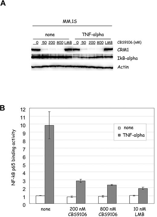 Figure 3. CBS9106 inhibits TNF-α–induced IκB-α degradation in MM cells. (A) MM.1S cells were treated with vehicle, LMB (10nM), and CBS9106 (50, 200, or 800nM) for 8 hours, followed by vehicle or TNF-α (20 ng/mL) treatment for 25 minutes. The whole-cell lysates were analyzed by immunoblotting. (B) MM.1S cells were treated with vehicle, LMB (10nM), and CBS9106 (200 or 800nM) for 5 hours, followed by vehicle or TNF-α (50 ng/mL) treatment for another 4 hours. The NF-κB activity of the cells was determined by TransAM NF-κB p65 Transcription Factor Assay Kit, according to the manufacturer's instructions. The obtained values (n = 3) are plotted as ratios relative to the corresponding control (vehicle-treated sample). Error bars represent SD.