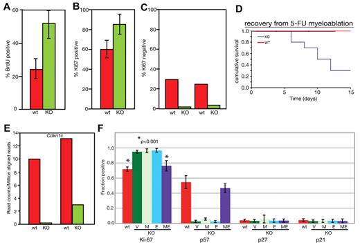 Figure 4. MEm1/m1 mice lack Cdkn1c expression in HSCs. (A) BrdU incorporation. LSKs were isolated from WT and MEm1/m1 mice after 3 days of labeling; cells were harvested, and cytospins were stained for BrdU and counted. Ten independent analyses were performed (P = .0014 by χ2 test). Error bars indicate SD. (B) Ki67 staining on glass slides. LSKs were harvested from WT and MEm1/m1 BM, cytospun onto glass slides, and stained with antibody against Ki67. Data are based on 3 independent analyses; error bars indicate SD. (C) Ki67 staining by flow cytometry. Whole BM from WT and MEm1/m1 mice was stained for the lineage markers c-Kit, Sca-1, and Ki67. Data are the percentage of Ki67-positive cells in the LSK population. Shown are 2 independent experiments. (D) Recovery from myeloablation by 5-FU. Cohorts of 15 MEm1/m1 and 15 WT adult mice were given intraperitoneal injections of 5-FU on day 0, and monitored thereafter. Cumulative survival is charted against time in days. (E) Analysis of Cdkn1c transcript levels in WT and MEm1/m1 LSKs by RNA-Seq; shown are RNA levels (in reads per million mapped reads) in 2 preparations for each genotype, with each preparation consisting of pooled LSKs from 7 mice. (F) Fraction of cells that immunopositive for the cell-cycle markers and regulators indicated, as assessed by diaminobenzidine development of HRP-conjugated avidin/biotinylated antibodies applied to cytospin smears of isolated LSKs from the genotypes indicated after transduction with the viruses indicated: V indicates empty vector; M, MDS1; E, EVI1; and ME, MDS1-EVI1. Error bars indicate SD. *P < .001 by Student t test.