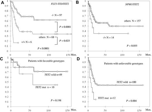 Figure 3. Kaplan-Meier curves for OS in 172 patients with intermediate-risk cytogenetics stratified by status. (A) TET2 mutation and FLT3-ITD. (B) TET2 and NPM1 mutations. The OS was also stratified by the status of TET2 mutation in patients with favorable molecular genotypes (NPM1+/FLT3-ITD− or CEBPAdouble; C) and in patients without these favorable genotypes (D). Both the genotypes TET2+/FLT3-ITD+ and TET2+/NPM1− are independent unfavorable factors for OS.