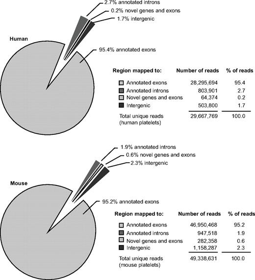 Figure 1. Distribution of sequencing reads in human and mouse platelets. Pie charts represent the number and percentage of sequencing reads from human platelets (top) or mouse platelets (bottom) mapping to indicated genomic regions. Only high-quality alignments following Novoalignment are represented. Although the majority of reads map to known intronic and exonic regions (combined RefSeq, UCSC, and Ensembl annotations), the remaining 1.9% (human) and 2.9% (mouse) of reads map to previously unannotated regions. Novel gene and exon regions are defined as unannotated regions that are enriched, at a conservative threshold, in sequencing reads. All other reads are termed intergenic. Intergenic reads may therefore contain some reads that map to novel genes and exons expressed below the arbitrary threshold.
