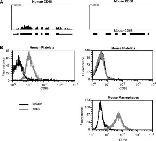 Figure 6. CD68 expression in human and mouse platelets. (A) Pictures taken from Integrated Genome Browser of CD68 expression in humans (left panel) or mouse (right panel) platelets. The height of bars represents the relative accumulated number of 36-bp reads spanning a particular sequence. The number at the top of each plot is the maximum of the y-axis scale for each plot. Gene symbols and RefSeq gene annotations are shown on the bottom of each panel. Thick horizontal lines represent exons; and thin horizontal lines, introns. (B) Histograms representing detection of CD68 in human (left panel) platelets or mouse (right panels) platelets or RAW 264.7 macrophages. CD68 or respective isotype controls were detected by intracellular antibody staining followed by analysis on a flow cytometer.