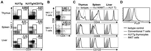 Figure 2. HJ1 T cells found in HJ1Tg/hCD1Tg mice exhibit an activated phenotype. Cells were isolated from the thymus, spleen, and liver of HJ1Tg/Rag−/− and HJ1Tg/hCD1Tg/Rag−/− mice, stained with mAb against various cell surface markers, and analyzed by flow cytometry. Results are representative of 3 independent experiments. (A) NK1.1+ HJ1 T cells require CD1b molecules for proper development. Cells were stained with mAb against CD3 and NK1.1. The percentages of CD3+NK1.1+ and CD3+NK1.1− T cells in each organ are indicated. (B) The majority of the HJ1 T cells developed in the presence of CD1b molecules are DN. Liver leukocytes were stained with mAb against CD3, NK1.1, CD4 and CD8α. Dot plots depict the co-receptor usage of HJ1 T cells in the CD3+NK1.1+ and CD3+NK1.1− gates. The percentage of cells in each quadrant is indicated. (C) HJ1 T cells isolated from HJ1Tg/hCD1Tg/Rag−/− mice express activation markers. Cells from HJ1Tg/hCD1Tg/Rag−/− and Vα14Tg mice were stained with CD3 together with CD44, CD69, or CD122. Histograms depict the surface expression of CD44, CD69 and CD122 on the CD3+ cells. Isotype control staining is depicted as filled histograms and the staining of Vα14Tg T cells and HJ1 T cells is depicted as dotted line and solid line, respectively. (D) HJ1 thymocytes express the transcription factor PLZF. Thymocytes from HJ1Tg/hCD1Tg/Rag−/− mice were surface stained with CD3 and intracellularly stained for PLZF. The specificity of the anti-PLZF antibody was confirmed by staining conventional T cells (TCRβ+CD1d/α-GalCer tetramer− gate) and iNKT cells (TCRβ+CD1d/α-GalCer tetramer+ gate) isolated from WT mice.