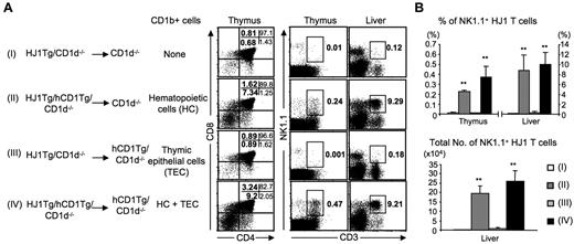 Figure 3. Group 1 CD1-expressing hematopoietic cells mediate the positive selection of NK1.1+ HJ1 T cells. CD1d−/− or hCD1Tg/CD1d−/− mice were reconstituted with BM cells from HJ1Tg/CD1d−/− or HJ1Tg/hCD1Tg/CD1d−/− mice (both donor and recipient mice are on a Rag−/− background). Six to 7 weeks later, cells were isolated from each group, stained with mAb against CD4, CD8, CD3 and NK1.1, and analyzed by flow cytometry. (A) Dot plots depict the proportion of CD4- and CD8-expressing thymocytes in each quadrant, as well as the proportion of NK1.1-expressing T cells in the lymphocyte gate. Data are representative of 3 independent experiments with 2 mice in each group. (B) Bar graphs depict the mean ± SD for the percentages (top panel) and absolute numbers (bottom panel) of NK1.1+CD3+ T cells in the liver lymphocyte gate. Statistical significance was evaluated by comparing Groups II, III, and IV with the negative control group (Group I). **P < .01, n = 6 for each experimental group.