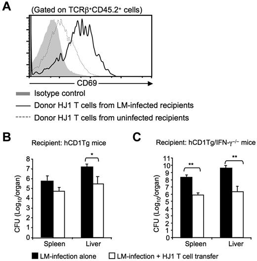 Figure 6. HJ1 T cells protect against LM infection. (A) Adoptively transferred HJ1 T cells are activated on LM infection. hCD1Tg congenic mice (CD45.1+) were adoptively transferred with 1-2 × 107 HJ1 T cells (CD45.2+). One hour after transfer, recipient mice were either left alone or intravenously infected with LM. Three days after infection, mice were killed. Single cell suspensions were isolated from the liver of LM-infected or uninfected hCD1Tg congenic mice, stained with mAb against TCRβ, CD69 and CD45.2, and analyzed by flow cytometry. Histograms depict CD69 expression on donor HJ1 T cells based on TCRβ+CD45.2+ gating (gray: isotype control; dotted line: donor HJ1 T cells from uninfected recipient mice; solid line: donor HJ1 T cells from infected recipient mice). Results are representative of 3 independent experiments. (B-C) Adoptive transfer of HJ1 T cells reduces bacterial burden in hCD1Tg (B) and hCD1Tg/IFNγ−/− mice (C). hCD1Tg and hCD1Tg/IFN-γ−/− recipient mice were adoptively transferred with 1-2 × 107 HJ1 T cells. One hour after cell transfer, recipient mice were infected with LM. Three days after infection, spleen and liver were harvested and the bacterial burden was determined. Bar graphs depict the mean ± SD for the bacterial burden in the spleen and liver. Statistical significance was evaluated through comparison of infected mice that had received a transfer of HJ1 T cells and infected recipients that did not receive a transfer. *P < .05; **P < .01. Data were pooled from 4 independent experiments (n = 4 for each group).