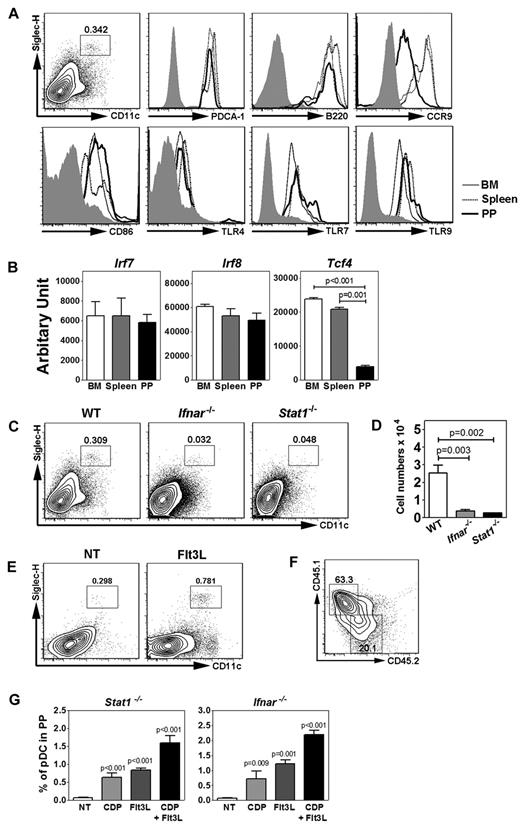 Figure 1. Characterization of PP pDCs and their requirement for IFN-STAT1 signaling. (A) Gating strategy of PP pDCs. Surface expression of PDCA-1, B220, CCR9, CD86, and TLR4 and intracellular TLR7 and TLR9 expression in pDCs from BM, spleen, and PP. Shaded area represents isotype control staining. (B) Gene expression of Irf7, Irf8, and Tcf4 in pDCs from BM, spleen, and PP, determined by quantitative PCR. (C-D) Proportion (C) and absolute number (D) of PP pDCs from Stat1−/−, Ifnar−/−, and wild-type (WT) controls. Error bars represent SEM of results from 4-8 mice. (E) PP pDC proportions in mice receiving HGT with pORF vector (NT) or pORF encoding Flt3L (10 μg), 4 days after treatment. (F) PP pDC proportions in Stat1−/− mice at 8 days after transfer of 105 congenic CD45.1+ DC progenitors (BM lin− Flt3+ CD115+ c-kitint cells) intravenously. Similar results were obtained after transfer into Ifnar1−/− mice (not shown). (G) PP pDC proportions in Stat1−/− or Ifnar1−/− mice 8 days after transfer of 105 wild-type DC progenitors (BM lin− Flt3+ CD115+ c-kitint cells) intravenously (CDP) or in animals left untreated (NT), as indicated. Some mice received Flt3L HGT 2 days before DC progenitor transfer (CDP + Flt3L) or Flt3L HGT alone (Flt3L), as shown. (B-G) Data represent 2 or 3 independent experiments. N = 4-10.
