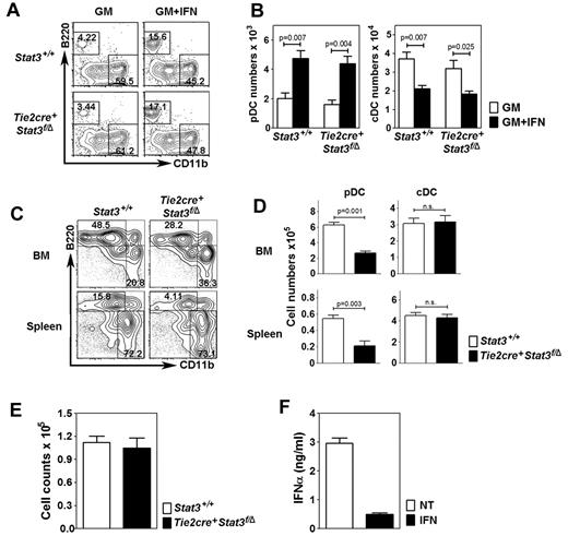 Figure 4. STAT3-independent development of pDCs by IFN-α. (A) Proportion of pDCs (top left quadrant) and cDCs (bottom right quadrant) in total BM cultures (105 cells) from Tie2cre+ Stat3f/Δ mice or littermate control (Stat3+/+) samples, after 4 days in GM-CSF or GM-CSF + IFN-α. Results were gated on the CD11c+ population (not shown); B220 and CD11b analysis is shown. Data represent 3 independent experiments. (B) Absolute number of pDCs and cDCs in total BM cultures shown in panel A. Error bars represent SEM of 3 independent experiments. (C) Proportion of pDCs and cDCs in BM and spleen of Tie2cre+ Stat3f/Δ mice and Stat3+/+ mice, as indicated. Results were analyzed as indicated in panel A. Data represent 3 independent experiments. (D) Absolute number of pDCs and cDCs in BM and spleen of Tie2cre+ Stat3f/Δ mice and Stat3+/+ mice, as indicated. Data are the mean ± SEM from 4-8 mice. (E) Absolute number of DC progenitors (lin− Flt3+ cells) in Tie2cre+ Stat3f/Δ mice and Stat3+/+ mice, as indicated. Data are the mean ± SEM from 4-8 mice. (F) CpGA-induced IFN-α production from pDCs sorted from BM of Tie2cre+ Stat3f/Δ mice before or after IFN-α treatment. Error bars represent SEM of 4 to 8 individual samples.