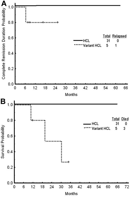 Figure 1. Outcome after treatment. (A) Complete remission duration. (B) Overall survival by subgroup.