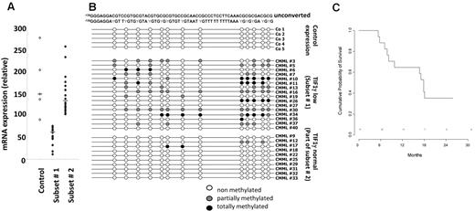 Figure 1. TFI1γ gene expression in CMML monocytes at inclusion. (A) Quantitative PCR analysis of TIF1γ gene expression allowed to define 2 subsets of patients with low (subset 1) or normal/high (subset 2) TIF1γ gene expression compared with healthy monocytes. Subset 1 indicates gene expression lower than mean ± 2 SD of that measured in normal samples; and Subset 2, others. (B) Methylation pattern of the TIF1γ promoter in a series of 5 healthy donors, the 16 patients with low TIF1γ mRNA level (subset 1), and 10 of the 16 patients with normal TIF1γ mRNA level. (C) Kaplan-Meier survival estimates comparing the 2 subsets of patients, based on TIF1γ mRNA level.