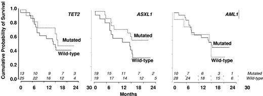 Figure 4. Kaplan-Meier survival estimates according to the absence or presence of mutations. (A) TET2 gene. (B) ASXL1 gene. (C) RUNX1 gene.