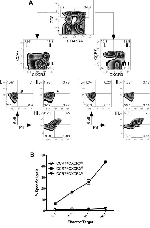 Figure 2. CCR7loCXCR3hi CD8+ T cells display an effector phenotype. (A) PBMCs from healthy human blood were stained for surface receptors CD8, CD45RA, CXCR3, CCR7, and intracellular perforin and granzyme B. Four individual donors were used in replicate experiments, and representative plots from one experiment are shown. (B) Healthy human PBMCs were stained with antibodies specific for CD8, CCR7, and CXCR3 and sorted into 3 separate CD8+ populations as indicated in the figure. Redirected lysis assay was carried out at the indicated E:T ratios using anti–human anti-CD3–coated THP-1 target cells. The result was repeated with cells isolated from 2 healthy donor samples with similar results.