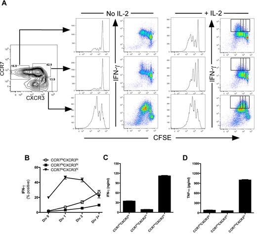 Figure 3. CCR7loCXCR3hi effector memory CD8+ T cells secrete effector cytokines. CCR7hiCXCR3lo, CCR7hiCXCR3hi, and CCR7loCXCR3hi CD8+ T cells were sorted from healthy human PBMCs and labeled with CFSE. The cells were stimulated with plate-bound anti-CD3 for 3 days in the absence or presence of 200 U/mL of rhIL-2. The cells were restimulated with phorbol myristate acetate and ionomycin in the presence of brefeldin A for 4 hours on day 3 after stimulation. Proliferation was measured by CFSE dilution, and IFN-γ was measured by intracellular staining. (B) The percentage of cells positive for IFN-γ expression as a function of cell division are plotted as mean ± SEM for the cells receiving exogenous IL-2 as indicated by the gates in panel A (far right dot plots). IFN-γ (C) and TNF-α (D) were measured in the supernatants by ELISA.