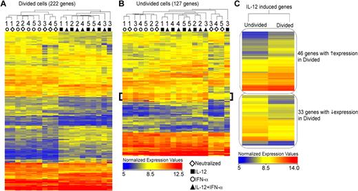 Figure 4. IL-12 and IFN-α regulate expression of unique gene sets in human CD8+ T cells. (A-B) Negatively isolated CD8+CD45RA+ T cells were polarized in vitro for 3 days under the defined conditions as indicated: neutralized (◊), IL-12 (■), IFN-α (○), and IL-12 + IFN-α (▴) and CFSElo (shown in orange in Figure 1A) and CFSEhi (shown in teal in Figure 1A) cells were sorted for RNA extraction and microarray analysis. A statistically significant gene list (P ≤ .01) was obtained using normalized expression values of the 5 donors, and ANOVA Unequal Variance (Welch) was used as the statistical test. Cytokine-stimulated samples were compared with the neutralized condition to obtain a list of genes with at least 1.7-fold difference. Hierarchical clustering of both conditions and entities (genes) is represented in the heat-maps of normalized expression values, both within divided (A) and undivided (B) populations. Individual donors are indicated as numbers under the dendrogram. The bracket in panel B indicates a cluster of IFN-α–stimulated genes. (C) Genes regulated by IL-12 (compared with neutralized) were hierarchically clustered based on their expression pattern within the divided and undivided populations.
