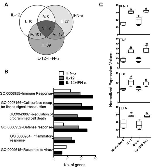 Figure 5. IL-12, but not IFN-α, regulates effector gene expression in human CD8+ T cells. (A) Differentially regulated genes by IL-12, IFN-α, and IL-12 + IFN-α were analyzed by Venn diagram to identify any genes commonly regulated by the different cytokine conditions. Individual segments are numbered corresponding to the gene list in supplemental Table 1. (B) Genes up-regulated by at least 1.7-fold were used to determine the Gene Ontology (GO) of the biological processes. The number of genes within a specific GO term is used as an indication of the magnitude of their functional correlation. (C) Normalized expression values of selected genes representing effector molecules are plotted as box-whisker bars (whiskers represent range).