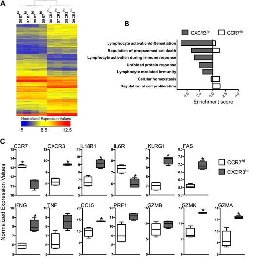 Figure 6. CCR7loCXCR3hi sorted from healthy human peripheral blood show effector/effector memory gene expression pattern. (A) The heat-map represents the normalized expression values of CD8+CCR7hiCXCR3lo (R7hi) and CD8+CCR7loCXCR3hi (XR3hi) cells isolated from 4 individual healthy human donors (D6-D9) by FACS sorting. A statistically significant (P ≤ .01) gene list was obtained from the 2 subsets using a pair-wise t test. A list of differentially regulated genes (≥ 1.7-fold) in 4 donors was generated, and hierarchical clustering of both cell types and entities was performed. (B) Genes with higher expression values in CXCR3hi or CCR7hi cells (compared with each other) were used to determine Functional Annotation Clustering of Biological Processes using DAVID. Enrichment score of the cluster is used as an indication for how strongly groups of differentially expressed genes are involved within each functional cluster. (C) Normalized expression values of selected genes are plotted as box-whisker bars (whiskers represent range).