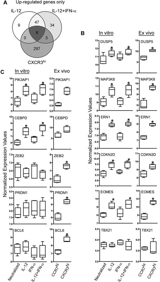 Figure 7. Effector memory CD8+ T cells isolated ex vivo and IL-12 programmed effector CD8+ T cells generated in vitro share a set of commonly regulated genes. Differentially expressed genes from the ex vivo samples were reassessed to identify genes expressed > 1.7-fold higher in all donors within the CXCR3hi compared with the CCR7hi cells. These genes were then assessed for commonality with the induced genes identified in cells activated with IL-12 and IL-12 + IFN-α culture conditions. (A) Genes up-regulated by either IL-12 or IL-12 + IFN-α and also increased in CD8+CCR7loCXCR3hi cells are shown in the Venn diagram. (B-C) Normalized expression values of selected genes are plotted as box-whisker bars (whiskers represent range).
