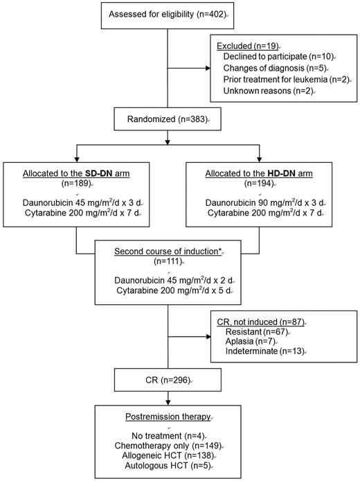 Figure 1. CONSORT flow diagram. *If patients showed persistent leukemia at interim bone marrow examination (usually 14 days after induction chemotherapy), the second course of induction was given.